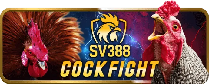 Khuyến mãi chào mừng thành viên mới 33win69 app